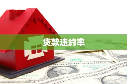 浏阳贷款违约率