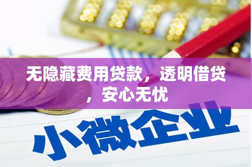 浏阳无隐藏费用贷款，透明借贷，安心无忧