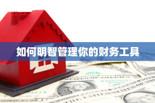 浏阳如何明智管理你的财务工具