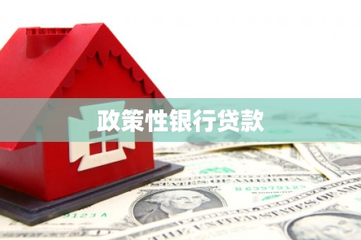 浏阳政策性银行贷款