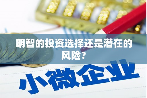 浏阳明智的投资选择还是潜在的风险？