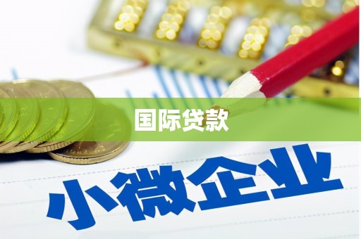 浏阳国际贷款