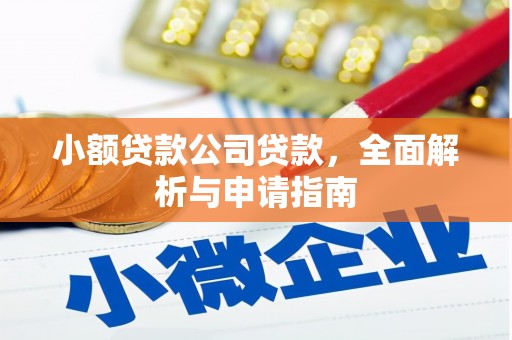 浏阳小额贷款公司贷款，全面解析与申请指南