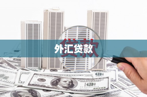 浏阳外汇贷款