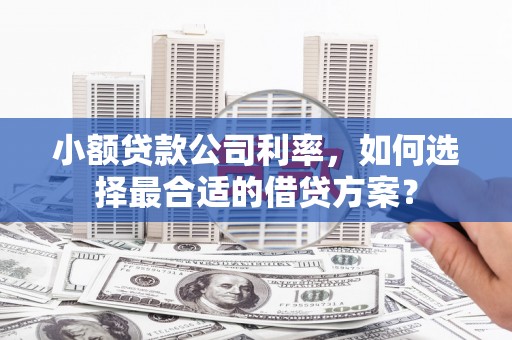浏阳小额贷款公司利率，如何选择最合适的借贷方案？