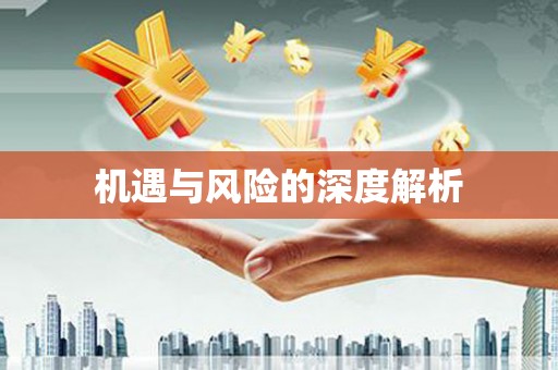 浏阳机遇与风险的深度解析