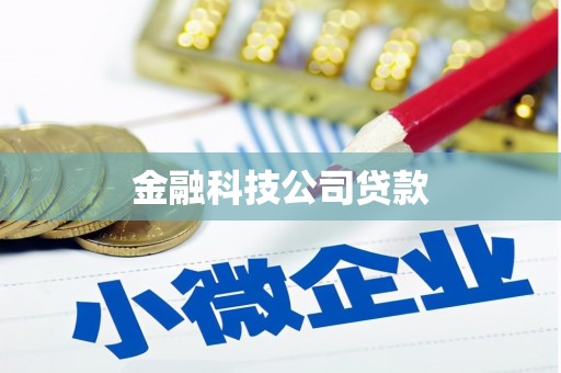 浏阳金融科技公司贷款