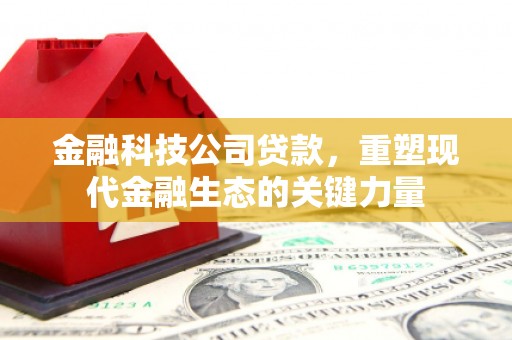 浏阳金融科技公司贷款，重塑现代金融生态的关键力量