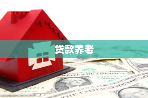 浏阳贷款养老