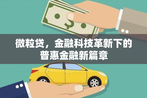 浏阳微粒贷，金融科技革新下的普惠金融新篇章