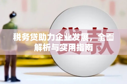 浏阳税务贷助力企业发展，全面解析与实用指南