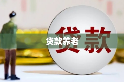 浏阳贷款养老