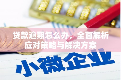 浏阳贷款逾期怎么办，全面解析应对策略与解决方案