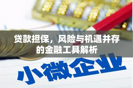 浏阳贷款担保，风险与机遇并存的金融工具解析