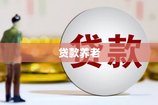 浏阳贷款养老