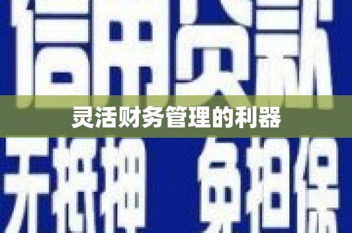 浏阳灵活财务管理的利器