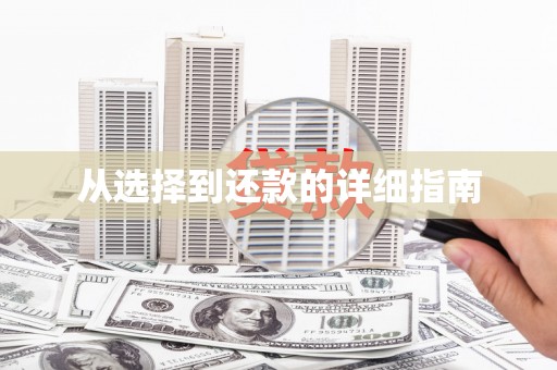 浏阳从选择到还款的详细指南