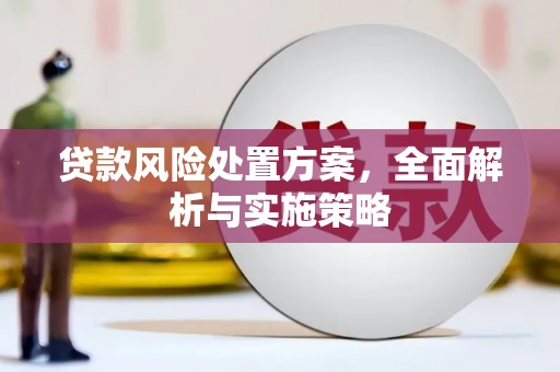 浏阳贷款风险处置方案，全面解析与实施策略